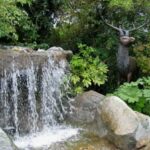 Garden Statue Ideas