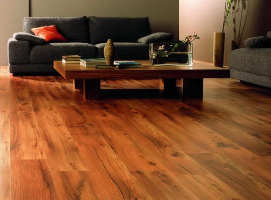 Sleek Hardwood Floor on Living Room Living Room Designs