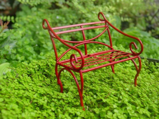 Miniature garden decor ideas