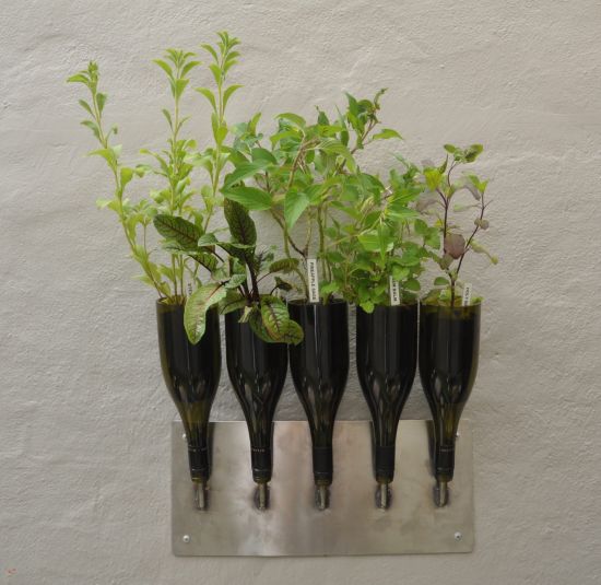 Indoor Herb Garden Ideas