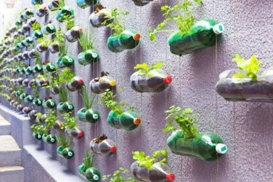 Indoor Herb Garden Ideas