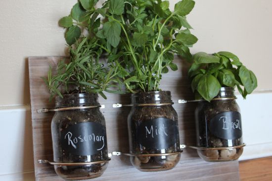 DIY Indoor Herb Garden