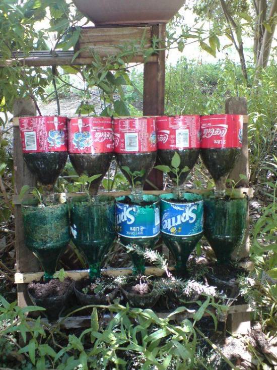 DIY Bottle Herb Garden