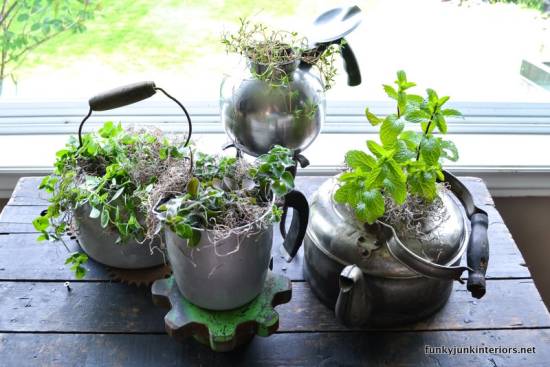 Herb garden planted in old kettles