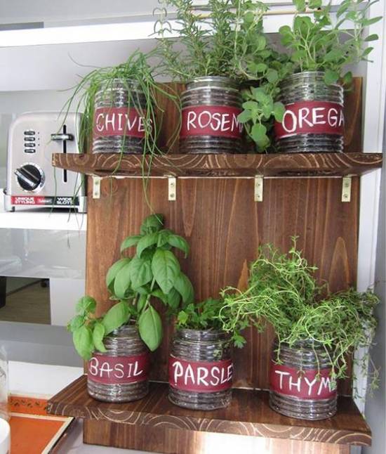 Indoor Garden With Fresh Herbs