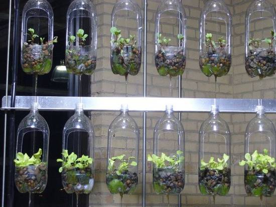 Recycled Bottle Herb Garden Ideas