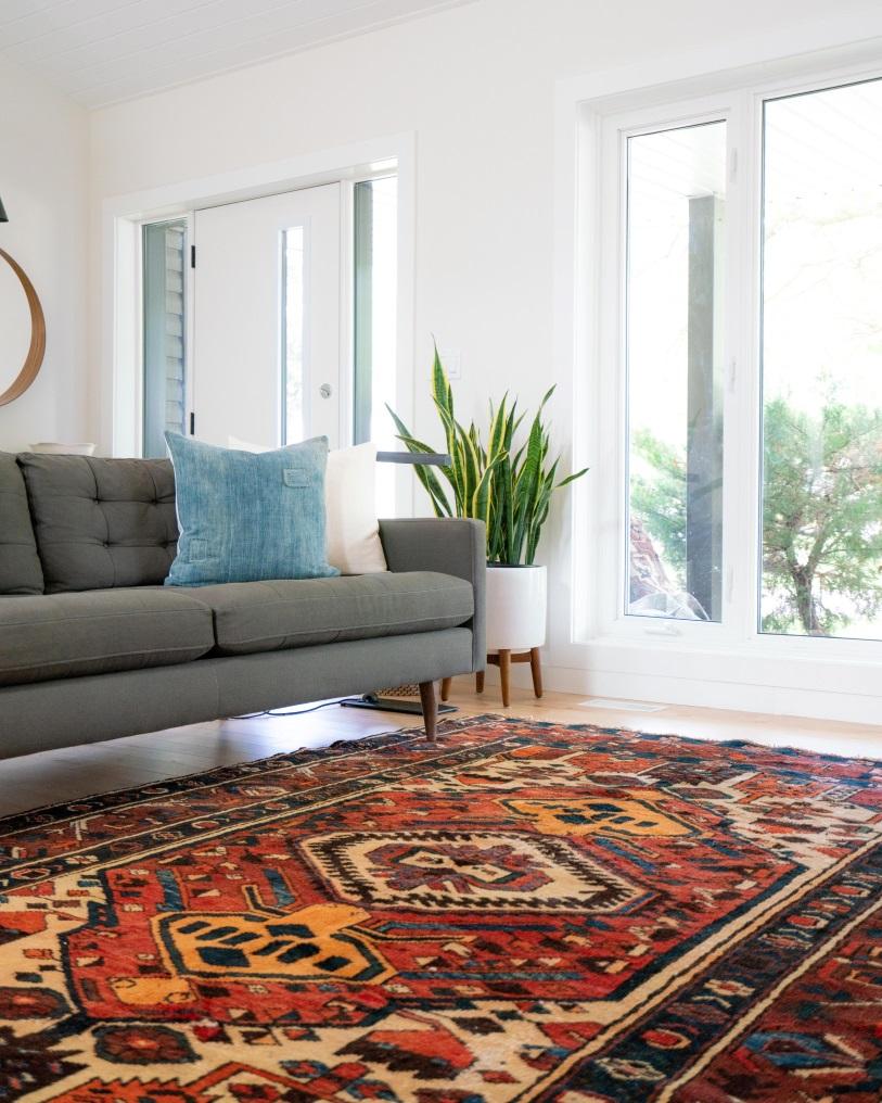 Contemporary home decoration strategy with area rug, sofa, and plants