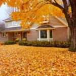 How To Be Environmentally Friendly in Fall Cleanup
