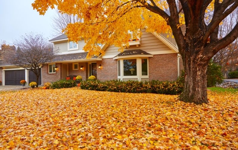 How To Be Environmentally Friendly in Fall Cleanup